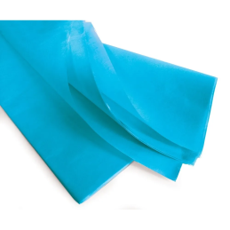 CARTA VELINA 50X76 21GR...