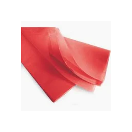 CARTA VELINA 50X76 21GR...