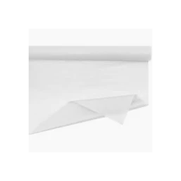 CARTA VELINA 50X76 21GR...