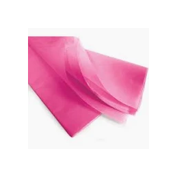 CARTA VELINA 50X76 21GR...