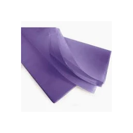 CARTA VELINA 50X76 21GR...